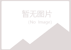 南岳区山柳采矿有限公司